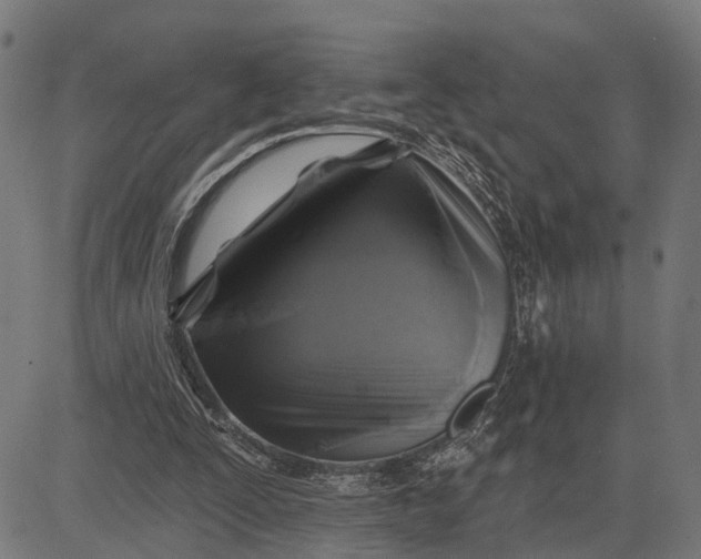 X0000082710295200702091754