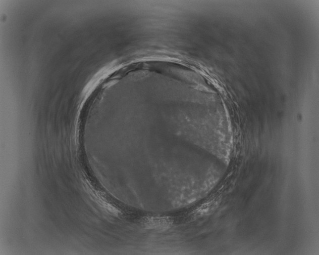 X0000082710296200702091754