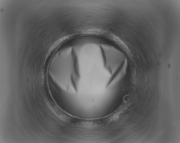 X0000082710298200702091754