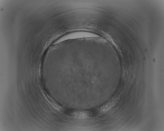 X0000082710299200702091754