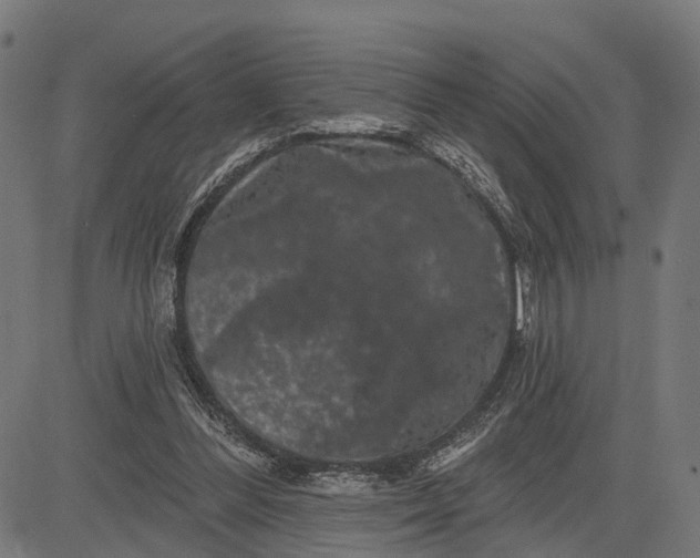 X0000082710300200702091754