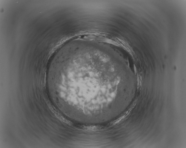 X0000082710301200702091754