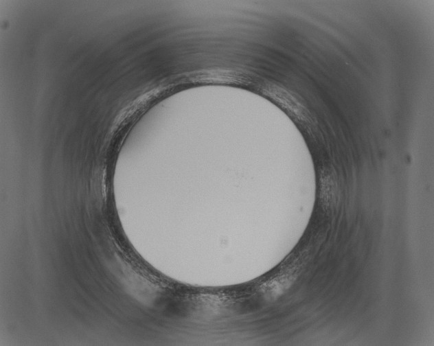 X0000082710302200702091754