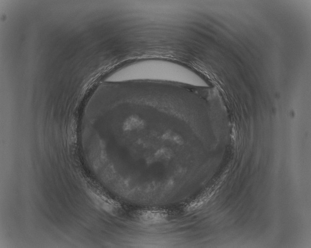 X0000082710303200702091754