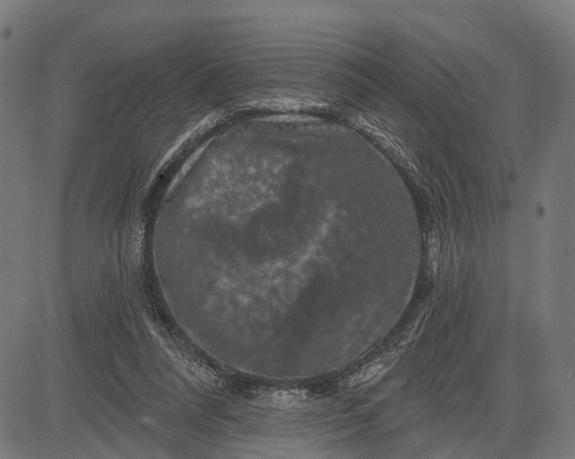 X0000082710304200702091754