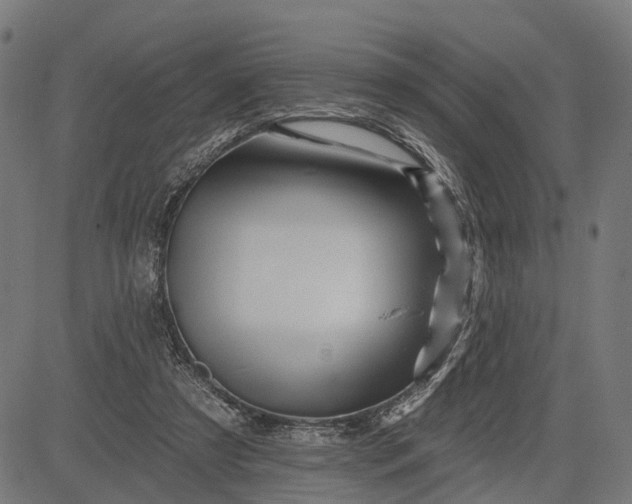 X0000082710305200702091754