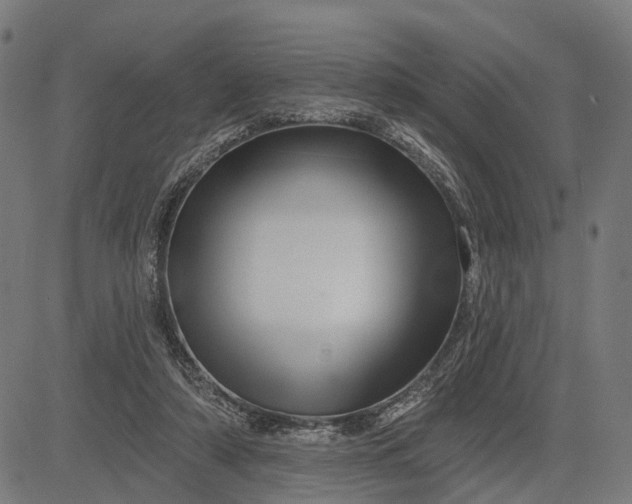 X0000082710306200702091754