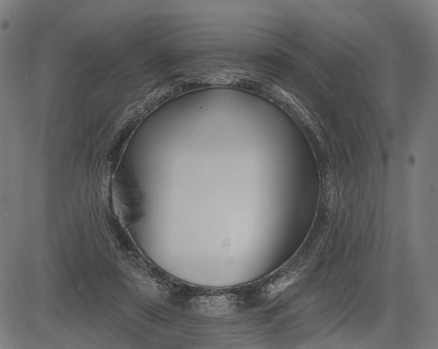 X0000082710307200702091754