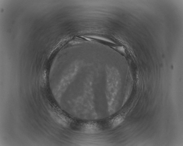 X0000082710308200702091754