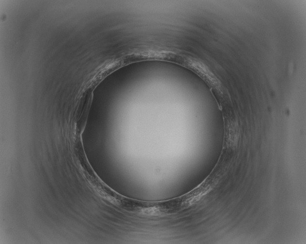 X0000082710309200702091754