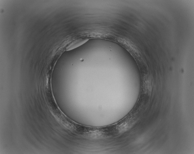 X0000082710310200702091754