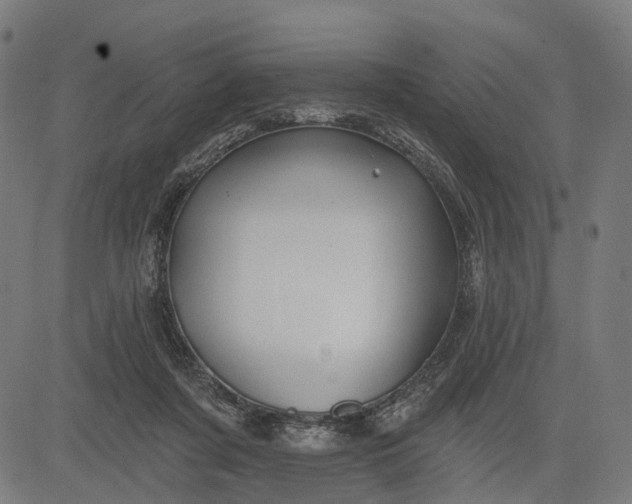 X0000082710311200702091754