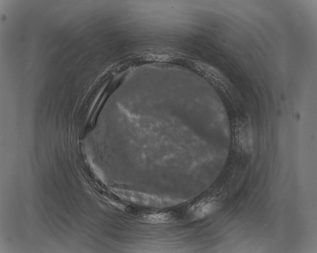 X0000082710312200702091754