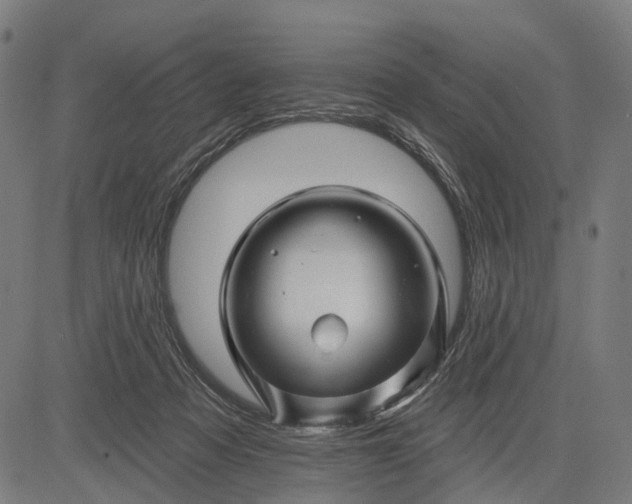 X0000082710313200702091754