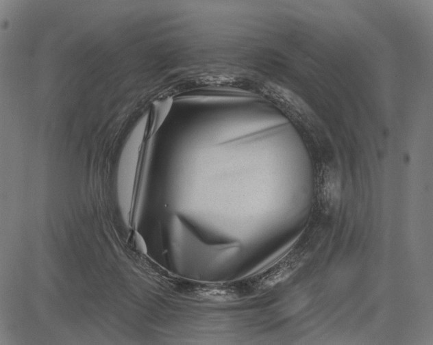 X0000082710315200702091754