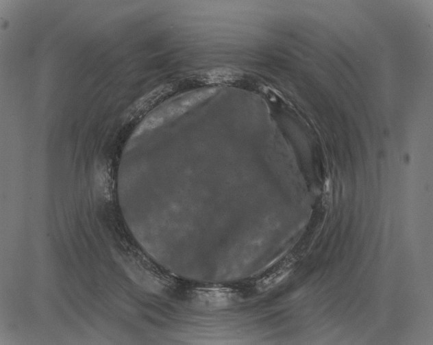 X0000082710316200702091754