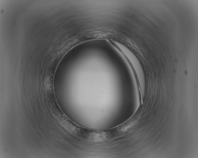 X0000082710317200702091754