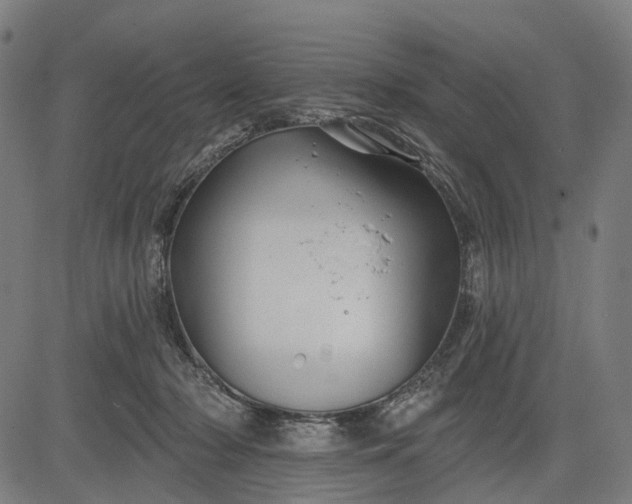 X0000082710318200702091754