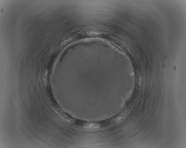 X0000082710319200702091754