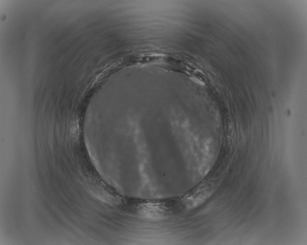 X0000082710320200702091754