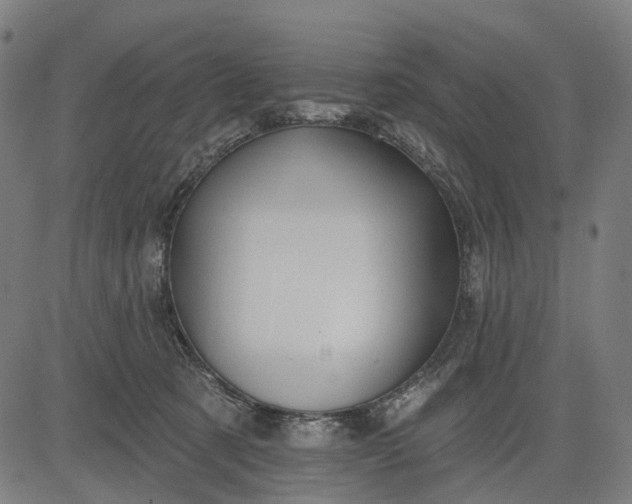 X0000082710321200702091754