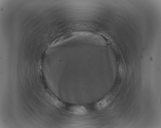 X0000082710322200702091754