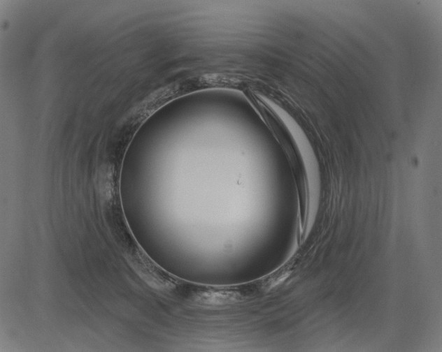 X0000082710323200702091754