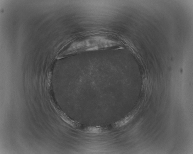 X0000082710325200702091754