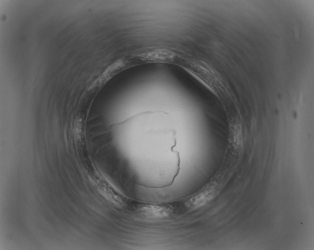 X0000082710326200702091754