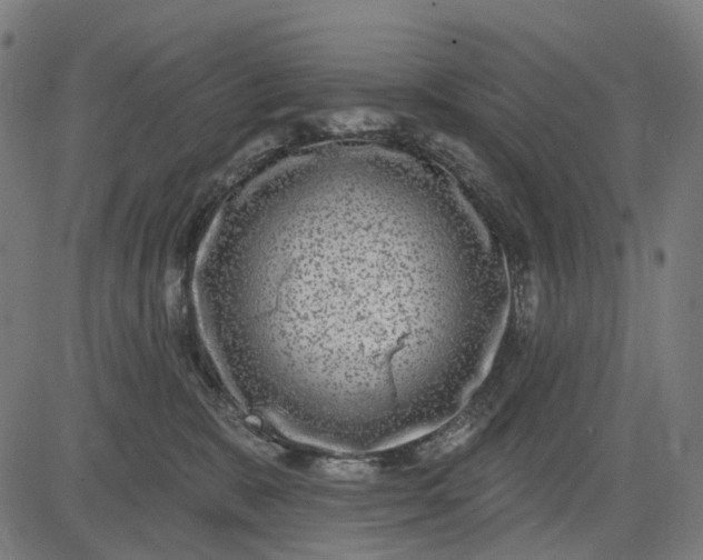 X0000082710327200702091754