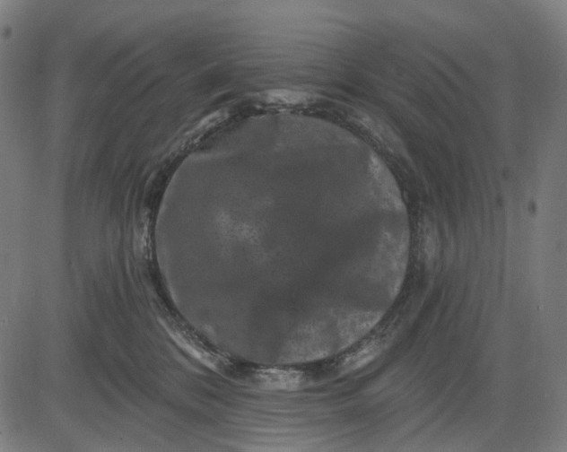 X0000082710328200702091754