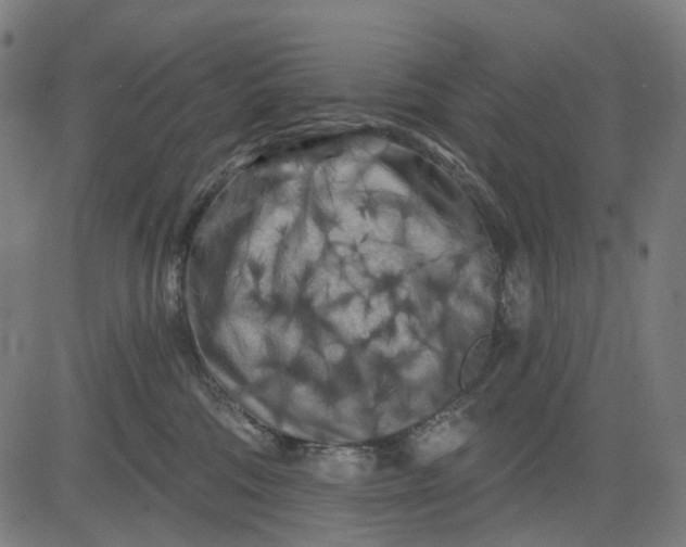 X0000082710330200702091754