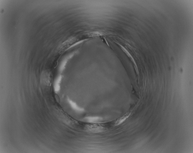 X0000082710331200702091754