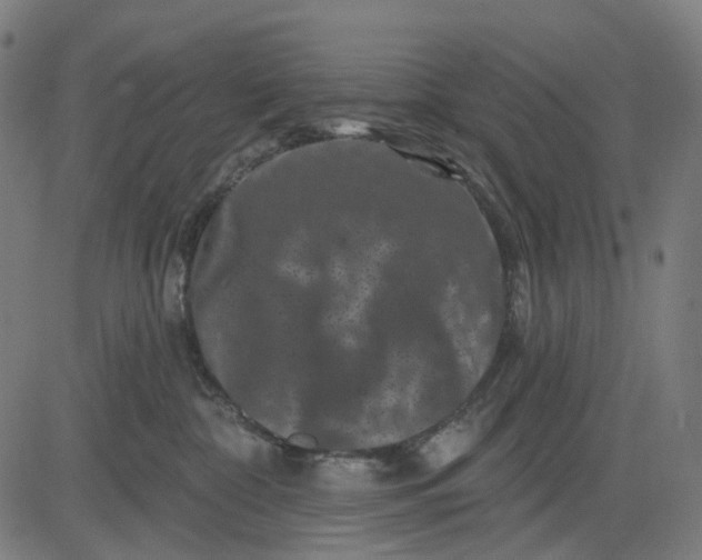 X0000082710332200702091754