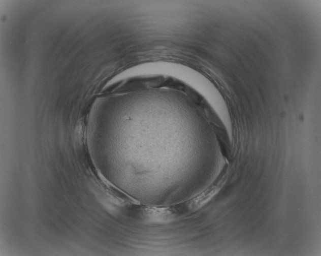 X0000082710333200702091754