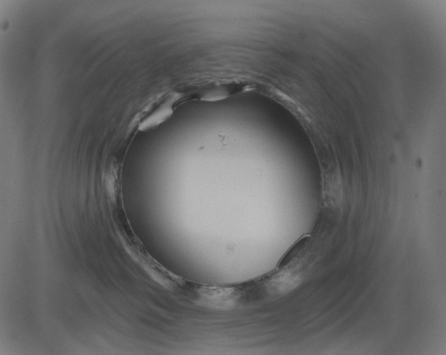 X0000082710334200702091754