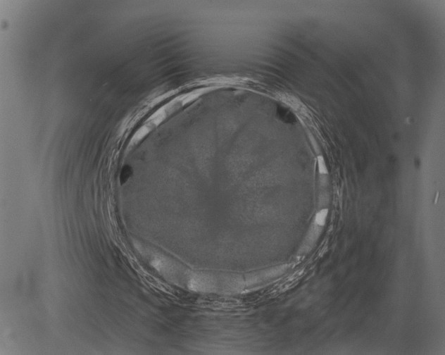 X0000082710337200702091753