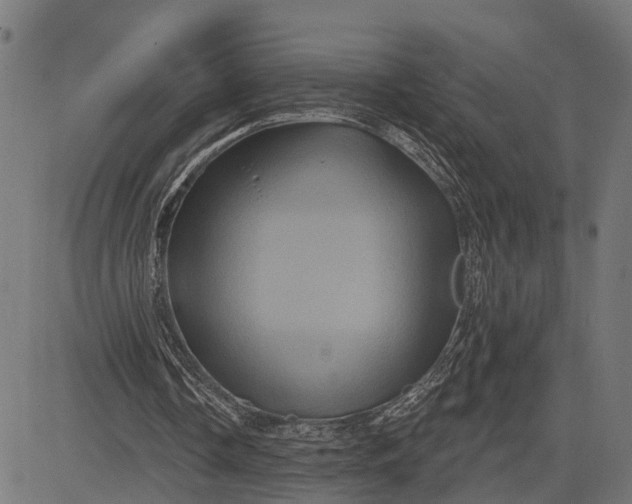 X0000082710338200702091753