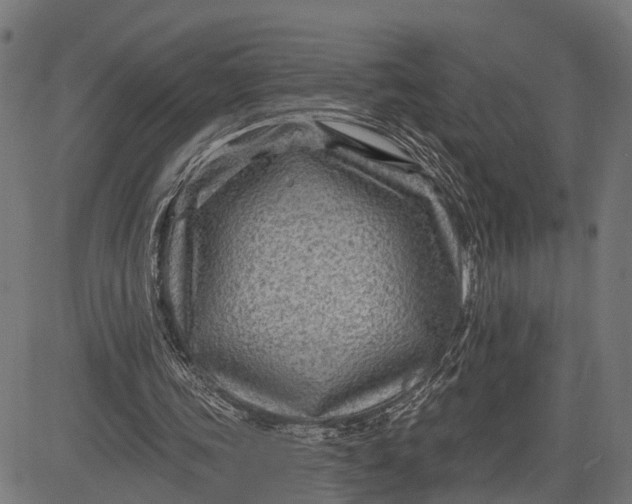 X0000082710339200702091753