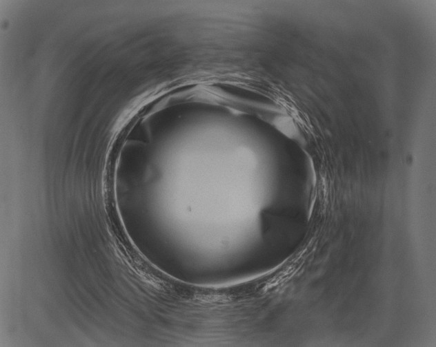 X0000082710340200702091753