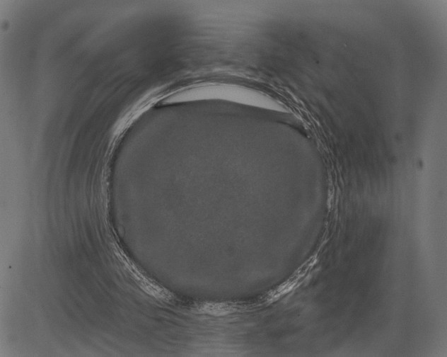 X0000082710341200702091753