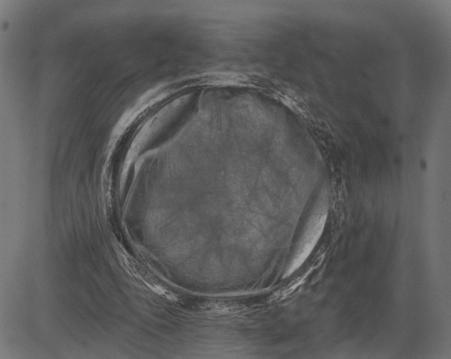 X0000082710343200702091753