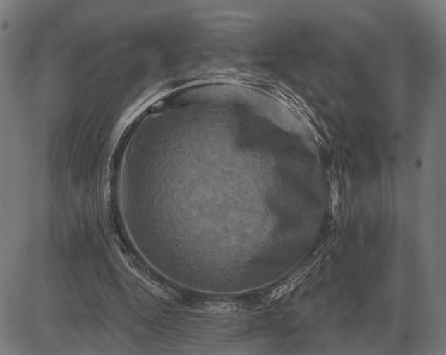 X0000082710344200702091753