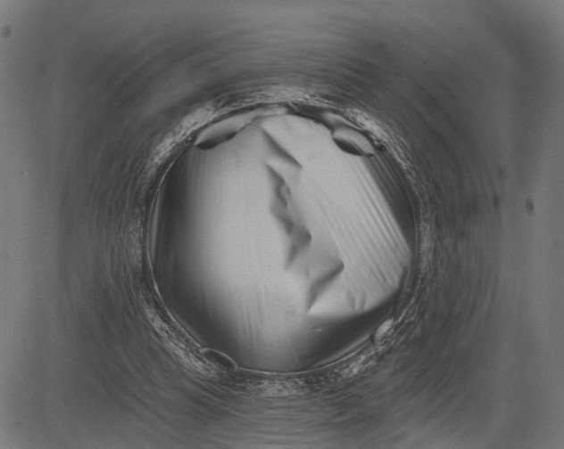 X0000082710345200702091753