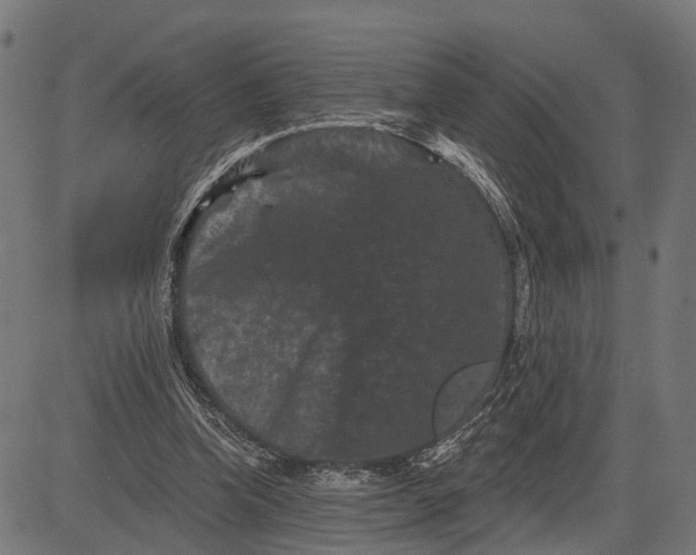 X0000082710346200702091753