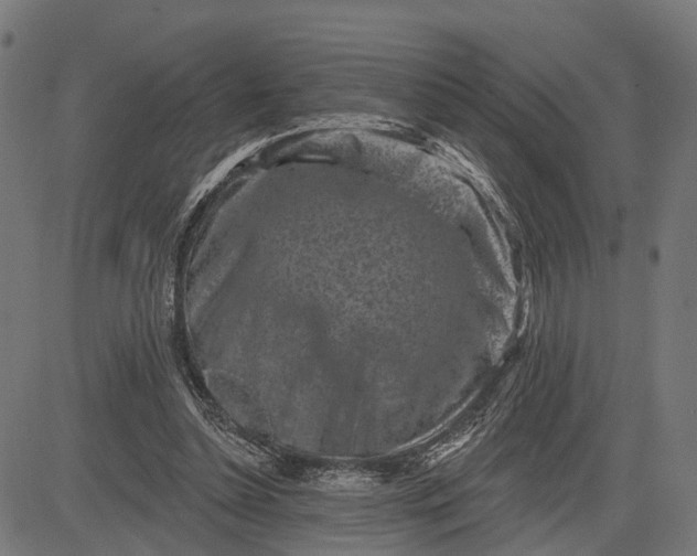 X0000082710348200702091753