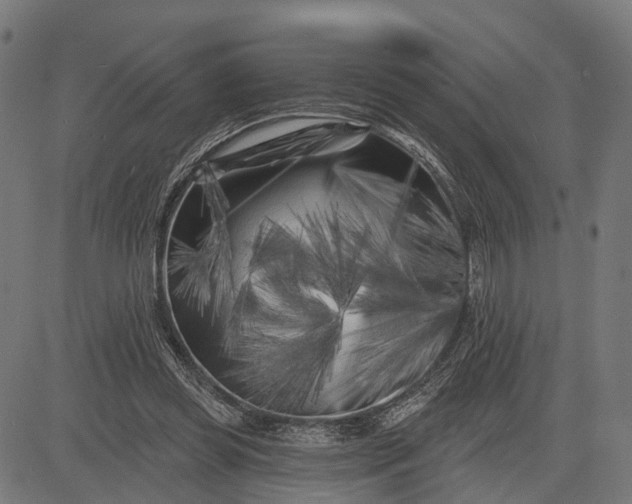 X0000082710349200702091753