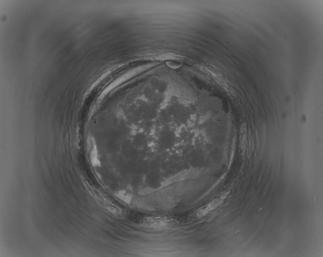 X0000082710351200702091753