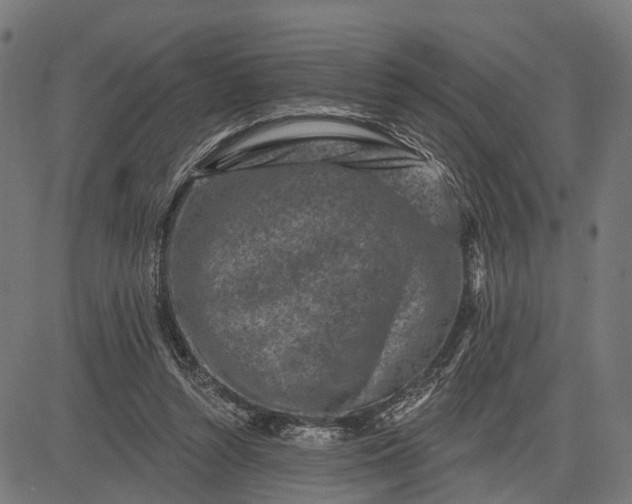 X0000082710352200702091753