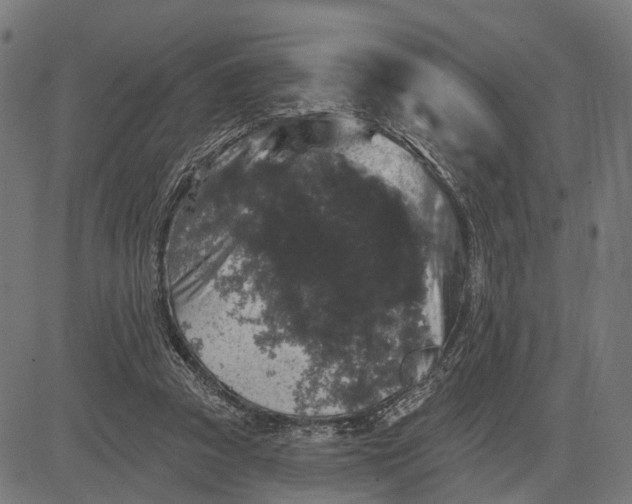 X0000082710353200702091753